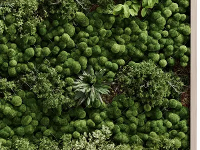 Vertical plant and moss garden wall decor box  wooden garden 109 3D model