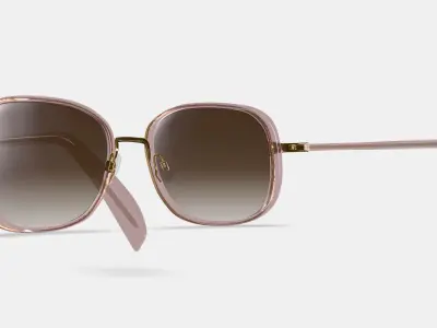 Fernanda Sunglasses in Antique Rose with Polished Gold 3D model