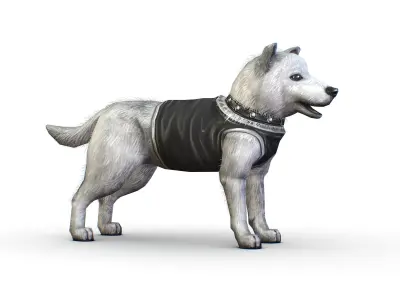 Low Poly White and Black Funny Dog Low-poly 3D model