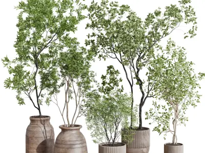 collection indoor plant 456 wooden old and concrete vase 3D model