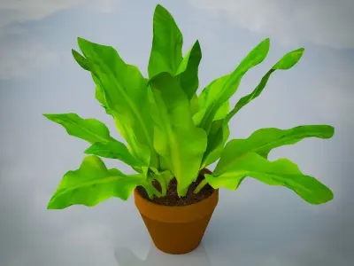 Lowpoly Indoor Plants Pack Low-poly 3D model