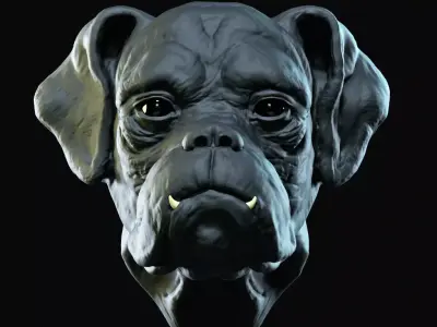 Boxer 3D model purchase