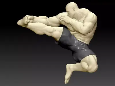 Kick Punch man 3D print model