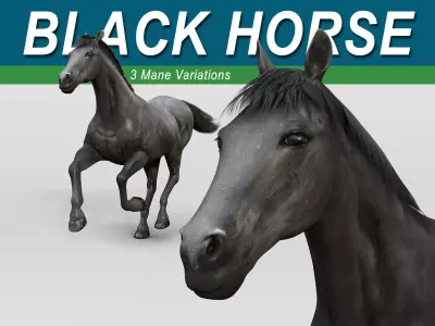 Horse - Black 3D model