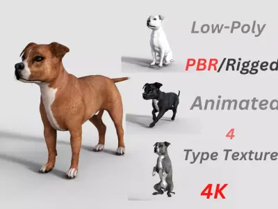  American Pitbull Dog Rigged Animated Low-poly 3D model