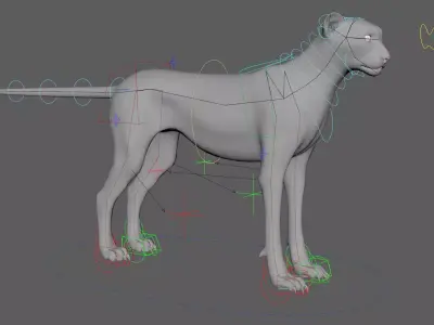 Cheetah - body with RIG 3D model