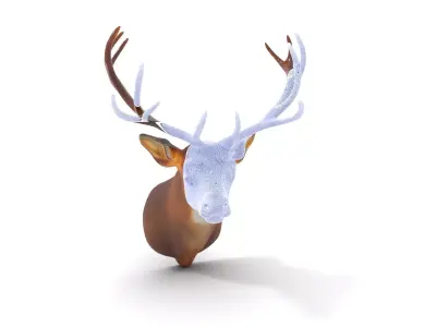 Majestic Deer Bust model pack Low-poly 3D model