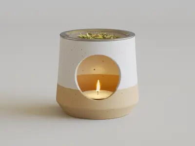 Tea Incense Burner  3D model