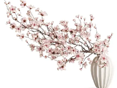 Magnolia Blossom Branches in White Ceramic Vase 3D model