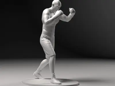 Boxer 01 Stl 3D print model
