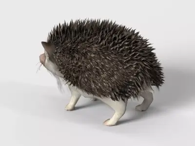 Realistic Hedgehog 3D Model  low poly Rigged Low-poly 3D model