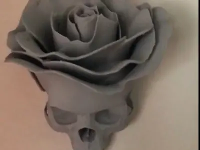 Rose Skull 3D print model