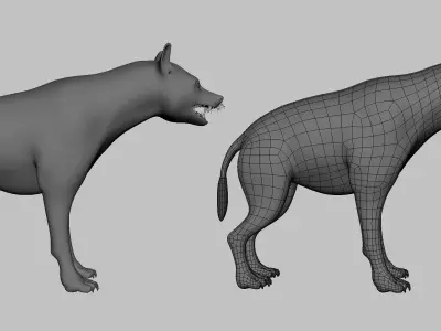 Hyena Model Low-poly 3D model