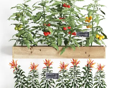 Decorative plants for the kitchen on wooden box 46 3D model