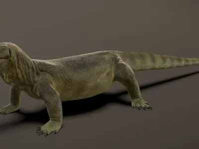 Komodo Dragon  3D model