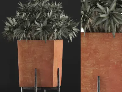 Plants Collection 74 3D model