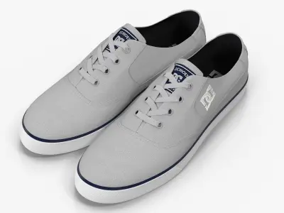 DC Shoes - Flash TX - Grey Low-poly 3D model