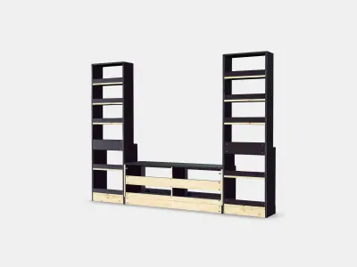 HAVSTA TV storage combination 1 Low-poly 3D model