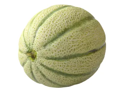 Melon Cantaloupe 3D model