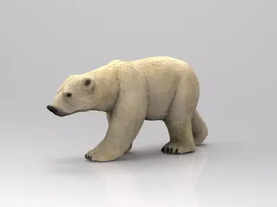 POLAR BEAR Low-poly 3D model