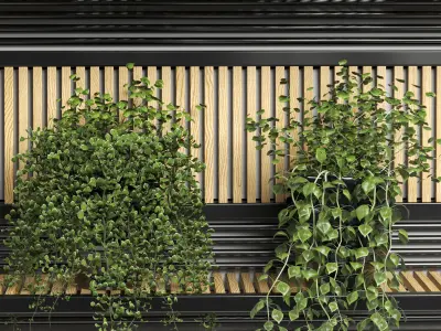 collection Indoor plant vase handmade pottery plant shelf 02 3D model