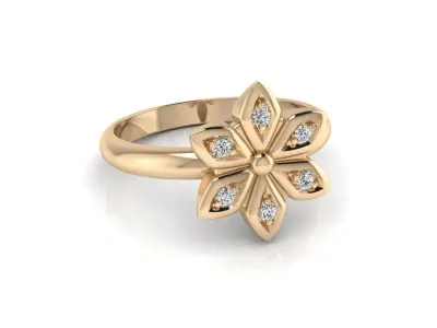 Ring 157 3D print model