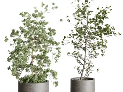 Collection Outdoor plant 106 pot Tree Bush Concrete Dirty Vase 3D model