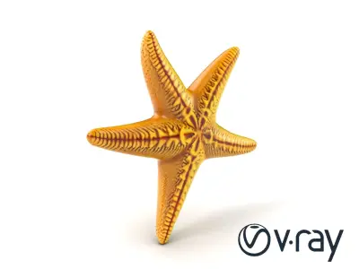 Realistic Textured Starfish Marine Model Pack Low-poly 3D model