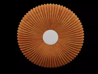 Flowered Mirror Design  Low-poly 3D model