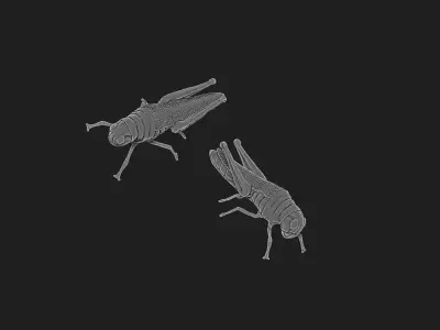 grasshopper 3D print model
