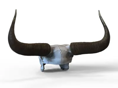 Bull skull with horns Low-poly 3D model