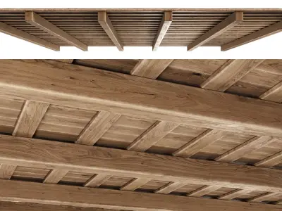 Wooden Ceiling V5  3D model