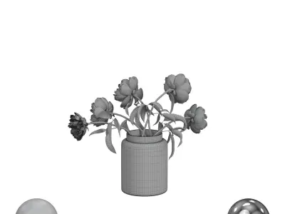 Light pink peonies  3D model