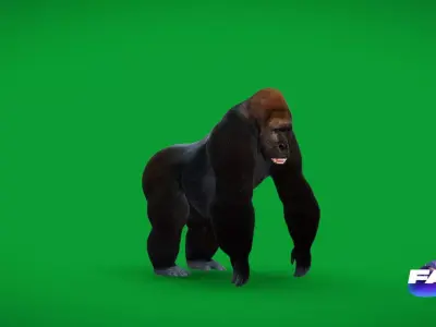 Western Lowland Gorilla Low-poly 3D model