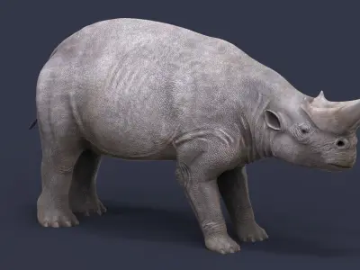 Arsinoitherium zitteli 3D model