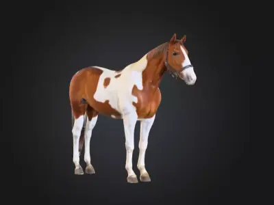 Painted Grace Horse Low-poly 3D model