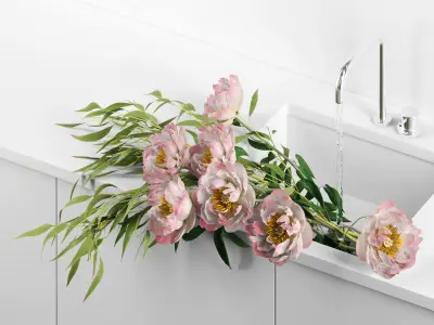 Peonies in sink 3D model