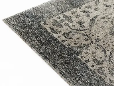 Restoration Hardware Hana rug 3D model