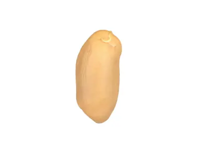 Photorealistic Peanut Kernel 3D Scan 2 3D model
