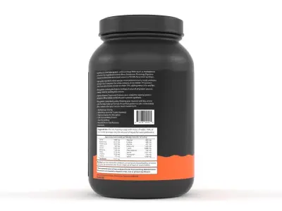 Protein Powder 3D model 171