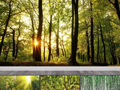 Photo Wallpaper No 4 Low-poly 3D model