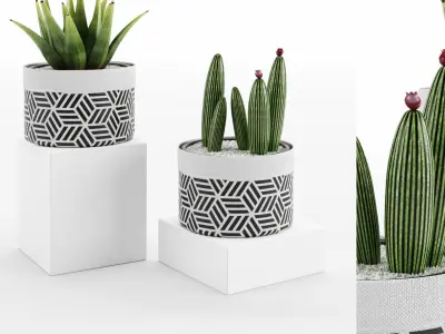 Collection plant 001