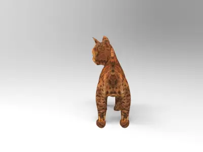 Cute Cat Rigged Low-poly 3D model