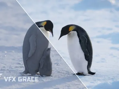 Emperor Penguin  UE Character Asset 3D model