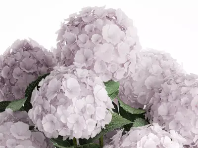 Modern Realistic Bouquet Vase  Lilac Pink Hydrange 613 3D model