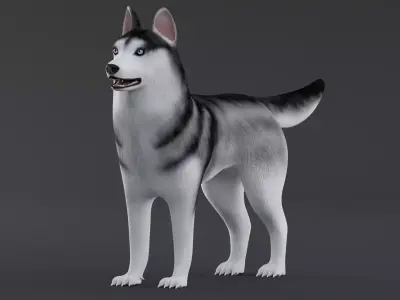 Dog Siberian Husky Low Poly Model Game AR VR Low-poly 3D model