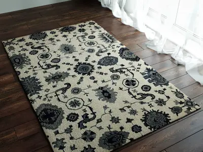 Juno Rugs 3D model