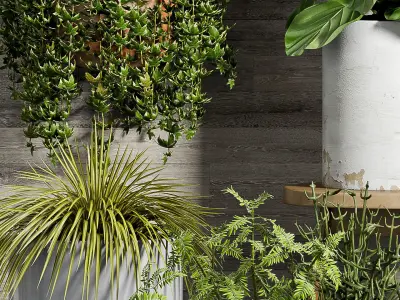 Decorative plant set-52 3D model