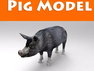 3D Black Wild Pig game ready low poly  Low-poly 3D model