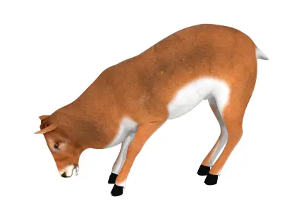 Deer Rigged and Animated 3D model